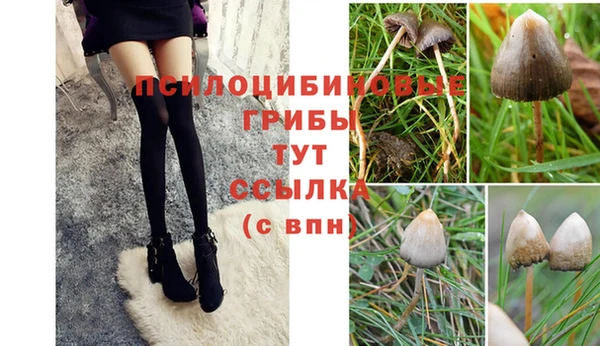 мдма Козельск