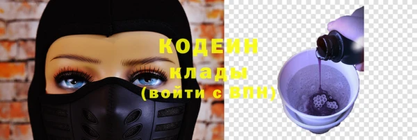 соль ск Козловка