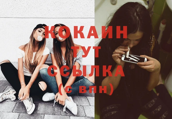 соль ск Козловка