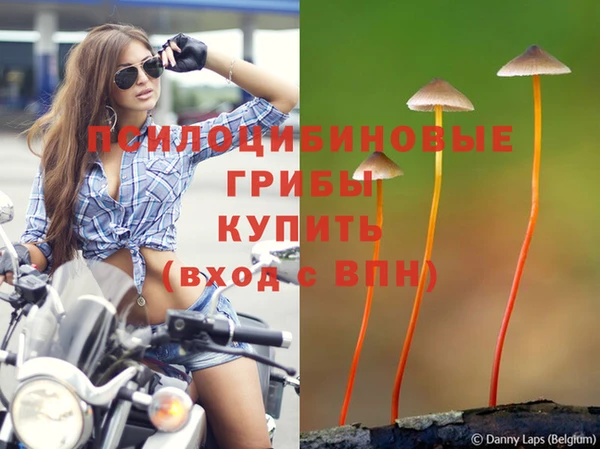 соль ск Козловка